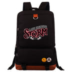 Lake Elsinore Storm Proof Backpack NoteBook Laptop School Bag